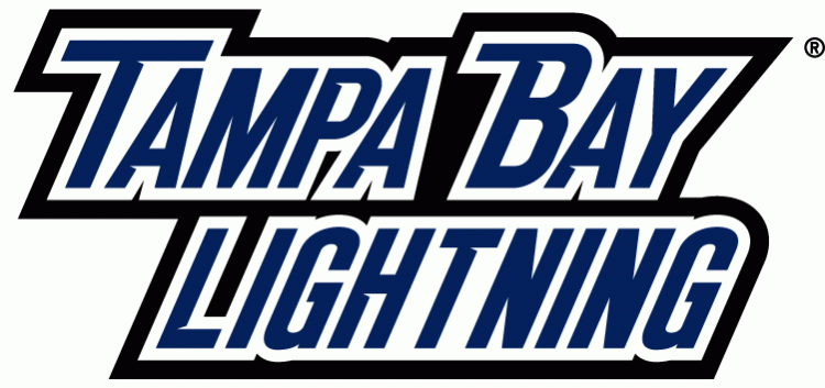 Tampa Bay Lightning 2011 Wordmark Logo iron on transfers for clothing